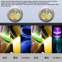 Linterna UV Portátil para Orina de Mascotas, Inspección de Higiene en Hoteles, IP65, Recargable por USB, Acero Inoxidable, con Pantalla Digital