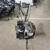 Tracteur à pied multifonctionnel de haute qualité Micro Tiller Rotary Cultivator Rotary Tiller Désherbage Roue à vendre