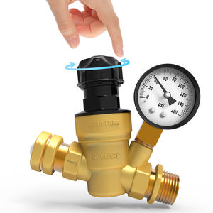 Régulateur <span class=keywords><strong>de</strong></span> <span class=keywords><strong>pression</strong></span> <span class=keywords><strong>d</strong></span>'<span class=keywords><strong>eau</strong></span> réglable en laiton sans plomb pour camping-car, van, van aménagé, avec filtre à écran <span class=keywords><strong>d</strong></span>'entrée - Product Image 1