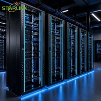 Armoire de serveur personnalisée Starlink, armoire de serveur réseau 19 pouces avec configuration flexible, usine OEM