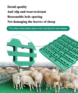 Piso <span class=keywords><strong>de</strong></span> Listones <span class=keywords><strong>de</strong></span> Plástico <span class=keywords><strong>de</strong></span> PP con Doble Refuerzo Yyc en Varios Tamaños para Cobertizo <span class=keywords><strong>de</strong></span> <span class=keywords><strong>Granja</strong></span> <span class=keywords><strong>de</strong></span> <span class=keywords><strong>Cabras</strong></span> y Ovejas - Product Image 2