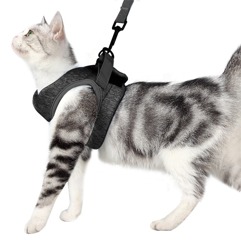 Travel Cat Harness & Bungee Leash Set - Escape Proof H-Style Harness For Outdoor Walking