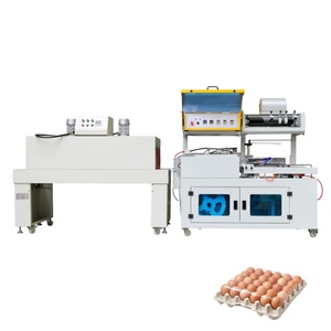 Egg Washing Machine 15000 Eggs Per Hour Egg Grading Machine Egg Grading and Packing Line - Product Image 6