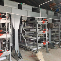 Équipement de cages à poules entièrement automatiques de type H, respectueux de l'environnement et économes en énergie, en acier galvanisé à chaud