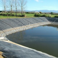 Geomembran HDPE 0,5mm hingga 2,0mm Halus & Bertekstur untuk Tambak Akuakultur, Lagoon & Pengolahan Air dengan Biaya Rendah