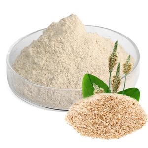 Gıda sınıfı psypsykabuğu organik toplu fiyat satış özü tozu diyet psyhuskabuğu tozu - Product Image 3