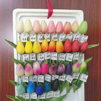 F-1216 Vente en gros de tulipes artificielles au toucher réel, fleurs artificielles très vendues, bulbes de tulipes artificielles hollandais, tulipes blanches en PU