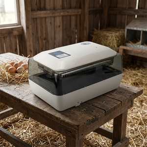Incubateur automatique pour œufs de poulet, canard, <span class=keywords><strong>faisan</strong></span>, caille, perroquet, volaille de taille moyenne, taux d'éclosion de 90 %, à vendre - Product Image 2