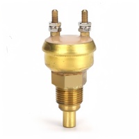 Sensor de interruptor de sobrecalentamiento de agua 4JB1 4JG1 4JG2 4LE1 4LE2 4LB1 4LC1 8944032410 8-94403241-0 para accesorios de excavadora ISUZU