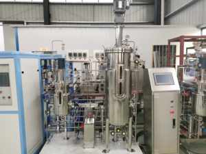 Fermenteur automatique à l'échelle industrielle 10L-500L Cuve de fermentation agitée Normes GMP Réacteurs CIP/SIP Nouvelle génération - Product Image 3