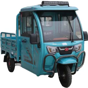 Triciclo de transporte de carga eléctrica de 48V y 800W triciclo motorizado de carga usado para granja Triciclo de seguridad y triciclo popular a la venta