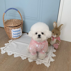 Impermeable para Perros con Estampado de Conejo y Capucha, Chaqueta Impermeable para Mascotas de Cuatro Patas para Perros Pequeños, Cachorros y Gatos, para Paseos al Aire Libre - Product Image 5