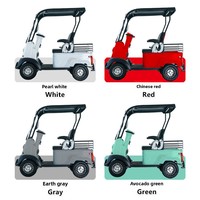 Mini-bus X2 Nouvelle Énergie Scooter de Mobilité à Deux Places pour Personnes Âgées Véhicule Électrique à Quatre Roues Couvert Moteur 650 kW Autonomie 31-50 km