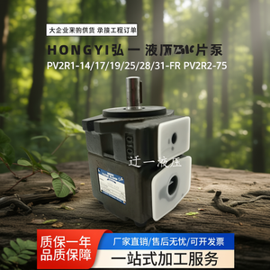 Hongyi ปั๊มใบพัด PV2R1-14/17/19/23/25/28/31-FR PV2R2-75เสียงต่ำปั๊มไฮดรอลิก - Product Image 3