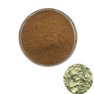 Natural Apocynum Venetum L <strong>Dogbane</strong> Leaf Extract Apocynum Venetum Extract - Product Image 1