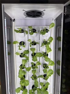 Vertical Growing Systems Hydroponic Grow Plant Cabinet for <b>Vegetables</b> Commercial Indoor Hydroponic Cabinet Growing System Commer - Product Image 2