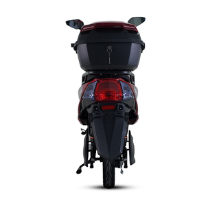 <span class=keywords><strong>ZS</strong></span> con envío rápido más vendido Dos personas 1000W 45 km/h Bicicleta eléctrica Motocicleta eléctrica - Product Image 3
