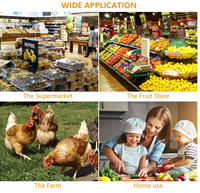 Barquette et Boîtes à Œufs en Plastique PET Écologique, Économiques, en Vrac, en Matériaux Recyclés pour Usage Industriel et Alimentaire