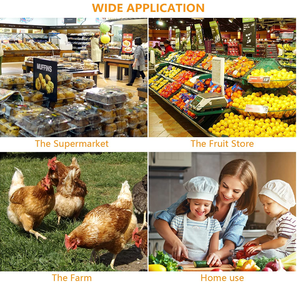 Bandeja y Cajas de Cartón Ecológicas de Plástico PET para Huevos al por Mayor, Materiales Reciclados Baratos para Uso Industrial y Alimentario - Product Image 6