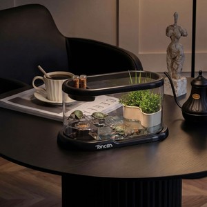 Terrario Ecologico in PP per <span class=keywords><strong>Tartarughe</strong></span>, Mini Terrario Ornamentale da Salotto, <span class=keywords><strong>Habitat</strong></span> da Scrivania Altamente Trasparente e Resistente agli Urti per Uso Domestico - Product Image 2