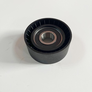 Poulie de guidage de <span class=keywords><strong>courroie</strong></span> d'entraînement 7700102931 pour Renault <span class=keywords><strong>Clio</strong></span> Kangoo Megane - Product Image 1