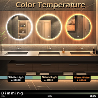 Miroir de courtoisie mural rond anti-buée avec éclairage LED réglable Cadeau d'anniversaire pour le maquillage