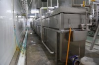 Équipement d'abattage au prix d'usine, machine automatique d'échaudage et d'épluchage des poulets