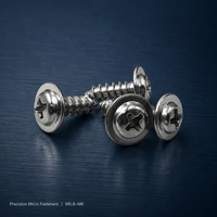 Vis à tête cylindrique Phillips en acier inoxydable finition zinc avec rondelle SEMS, filetage rapide M2-M6, pour boîtiers électriques et boîtiers en plastique, OEM, vente en gros