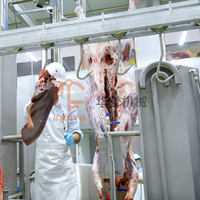 Série de couteaux d'abattage de bovins en gros pour usine : outils de dépecage, d'osage et de hachage compatibles avec la ligne d'abattage de bétail entièrement automatique