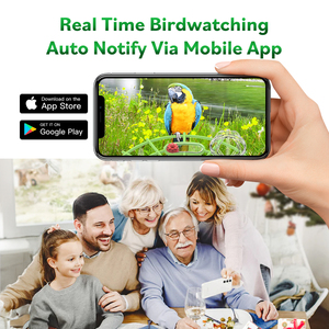 Mangeoire à oiseaux solaire avec caméra HD, application Hi Birds, WiFi, mangeoire automatique intelligente pour l'alimentation des oiseaux en extérieur dans le jardin - Product Image 5