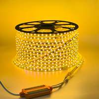 Télécommande RGB pour bandes LED intelligentes 5050 AC110V 220V IP65 10W 60 LED 14mm de largeur SMD5050 RGB Rouleau de 100m Bandes LED RGB