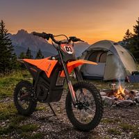 Motocicleta Eléctrica Todoterreno Sur Ron Light Bee de 3500W 60V27Ah para Adultos, Estilo Todoterreno, 40-60km/h, Neumáticos Anchos para Carreras Todoterreno