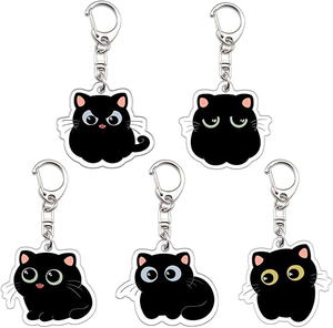 Artículos Promocionales de Moda, Llavero de Acrílico Transparente, Ligero, Impermeable, Impresión Digital Personalizada para Accesorios de Automóvil - Product Image 1