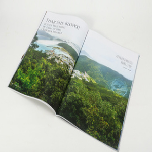 Tùy Chỉnh In Đầy Đủ Màu Sắc Chất Lượng Cao Tùy Chỉnh Thiết Kế Miễn Phí Danh Mục Vải - Product Image 3