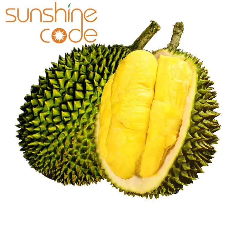 Sunshine Code d197 durian fruits frais en vente durian de haute qualité de thaïlande musang king durian export us