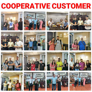 ลูกกลิ้งประตูบานเลื่อนแบบโอริกามิพร้อมโครงสร้างนาโนเพื่อการบำบัดด้วยตนเองสำหรับห้องแล็บทางชีวภาพ - Product Image 6