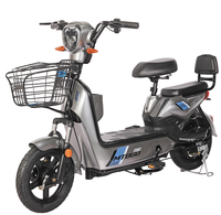 Vélo Électrique Urbain 48V 150kg à Moteur Arrière Brushless 250W, Batterie Plomb-Acide, Écran LED et Capteur – Prix Usine Chine