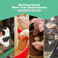 Usine de fabrication d'aliments pour volailles clé en main GEMCO à vendre, pour la production de granulés d'aliments pour animaux