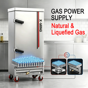 Vaporiera Elettrica a Gas a Doppia Alimentazione, Armadio per Cottura a Vapore in Acciaio Inox SUS304, <span class=keywords><strong>Forno</strong></span> Professionale per Riso e Frutti di Mare con Vassoi Solidi Forati - Product Image 1