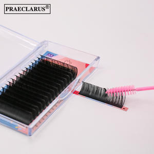 RTS PR010 Marque privée Extensions de <span class=keywords><strong>cils</strong></span> 8-15mm Mise en place rapide de <span class=keywords><strong>cils</strong></span> <span class=keywords><strong>individuels</strong></span> Faits à la main Noir mat Naturel Long - Product Image 5