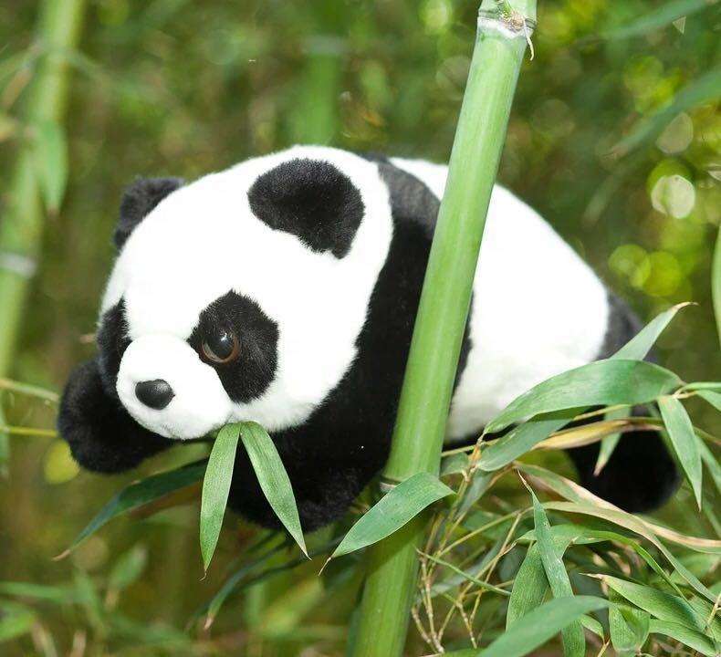 Animal Custom Plush Stuffed Pandas Bear Educational Toys for Kids Gift Giant Soft Doll Plush Panda Toy for Children