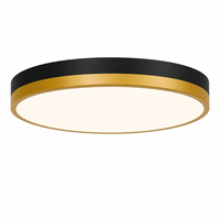 Plafonnier LED Worbest 16 pouces, série bicolore, 25W, 1800lm, adapté au salon, à la chambre à coucher, au couloir, certifié ETL/cETL