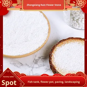 Confezione da 20kg di ciottoli di pietra naturale bianca <span class=keywords><strong>per</strong></span> vasi succulenti cortile abbellimento decorazione acquario pioggia bianca fiore pietre - Product Image 2