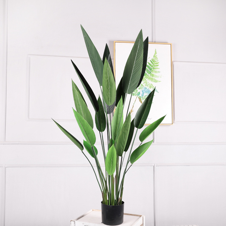4-foot Water Beauty (1.25M)
