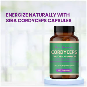 OEM/ODM Cordyceps <span class=keywords><strong>Mycelium</strong></span> Capsule Suppléments à base de plantes Booster immunitaire Cordyceps Sinensis - Product Image 5