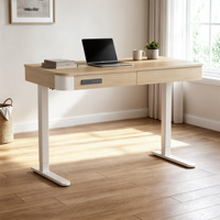 Bureau d'ordinateur PRORIALS en chêne, usage commercial, 120*60cm, durable, ergonomique, hauteur réglable, avec pieds en fer et grands tiroirs pour étudiants