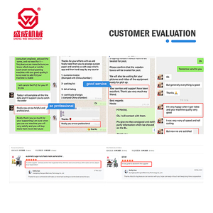 Macchinario Shengwei Automatico ad Alta Produttività per <span class=keywords><strong>Capsule</strong></span>, Semi, Pellet, Pillole, Compresse, Noci, Chicchi di <span class=keywords><strong>Caffè</strong></span>, Zucchero, Sacchetti per Biscotti - Product Image 5