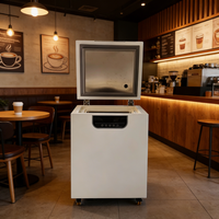 Congélateur horizontal biologique cryogénique ULT à très basse température -86°C de 70L pour café