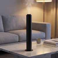 Diffuseur d'arômes sur pied personnalisé, sans eau, en métal, double mode, avec minuterie et application, pour villa, hôtel, conférence, atomisation à deux fluides