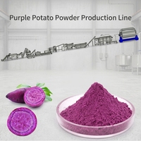 Ligne de production de poudre d'igname et de patate douce violette certifiée CE, haute capacité, contrôle PLC, 900-1800 kg/h, machines de traitement des flocons de pommes de terre
